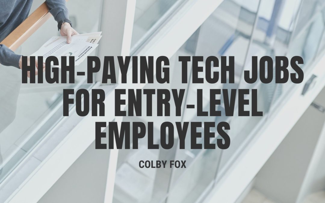 Colby Fox high paying tech jobs